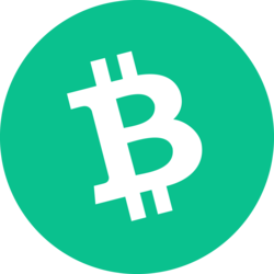BCH logo