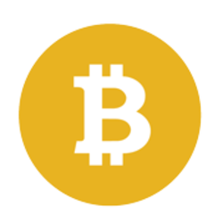 BSV logo
