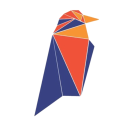 RVN logo