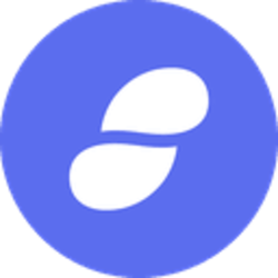 SNT logo